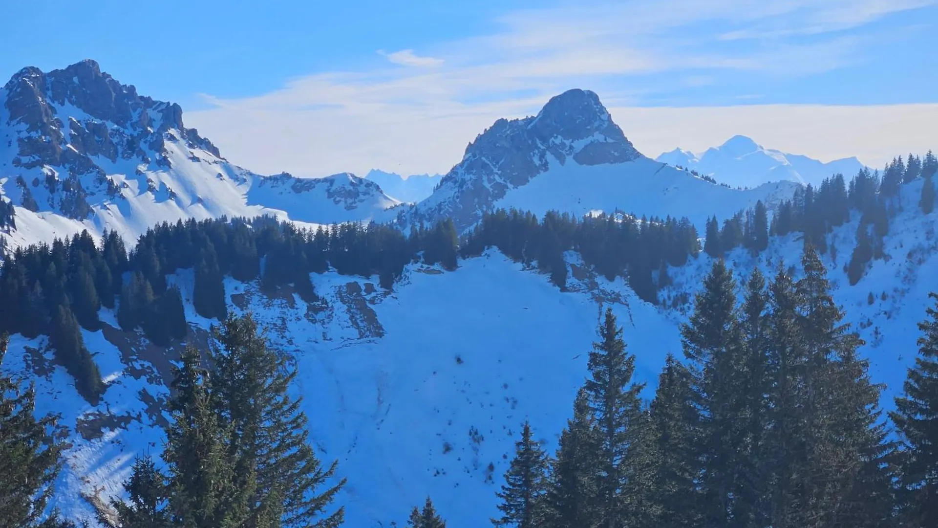 Chalet Des Cerfs Megevette Apartment